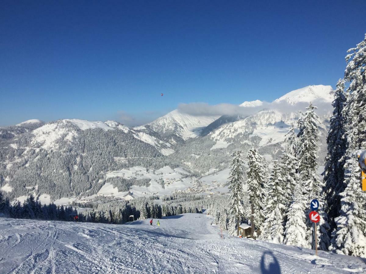 Апартаменты Dachstein Русбах-ам-Пас-Гшютт Экстерьер фото