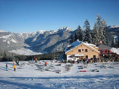 Апартаменты Dachstein Русбах-ам-Пас-Гшютт Экстерьер фото