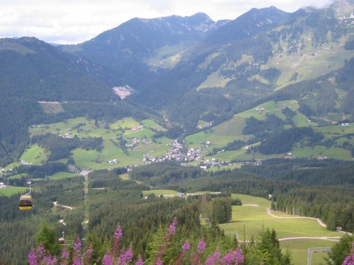 Апартаменты Dachstein Русбах-ам-Пас-Гшютт Экстерьер фото